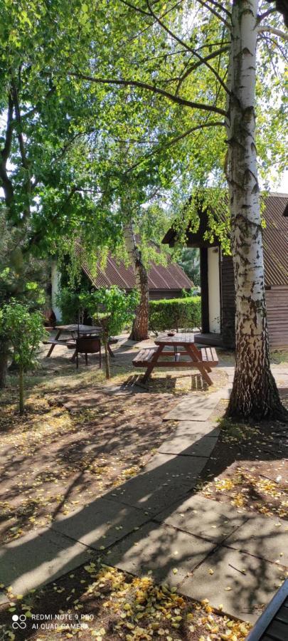 Rybarska Basta Vikletice - Nechranice Villa Chbany ภายนอก รูปภาพ